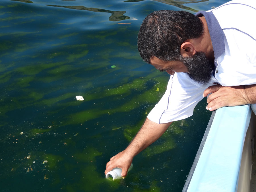 A researcher collects a sample from a Noctiluca scintillans bloom in the northern Arabian Sea. (Courtesy J. Goes)
