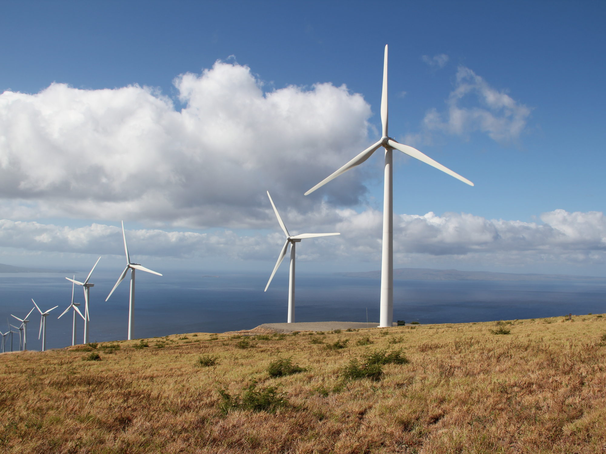 Wind turbines at La Haina, Hawaii