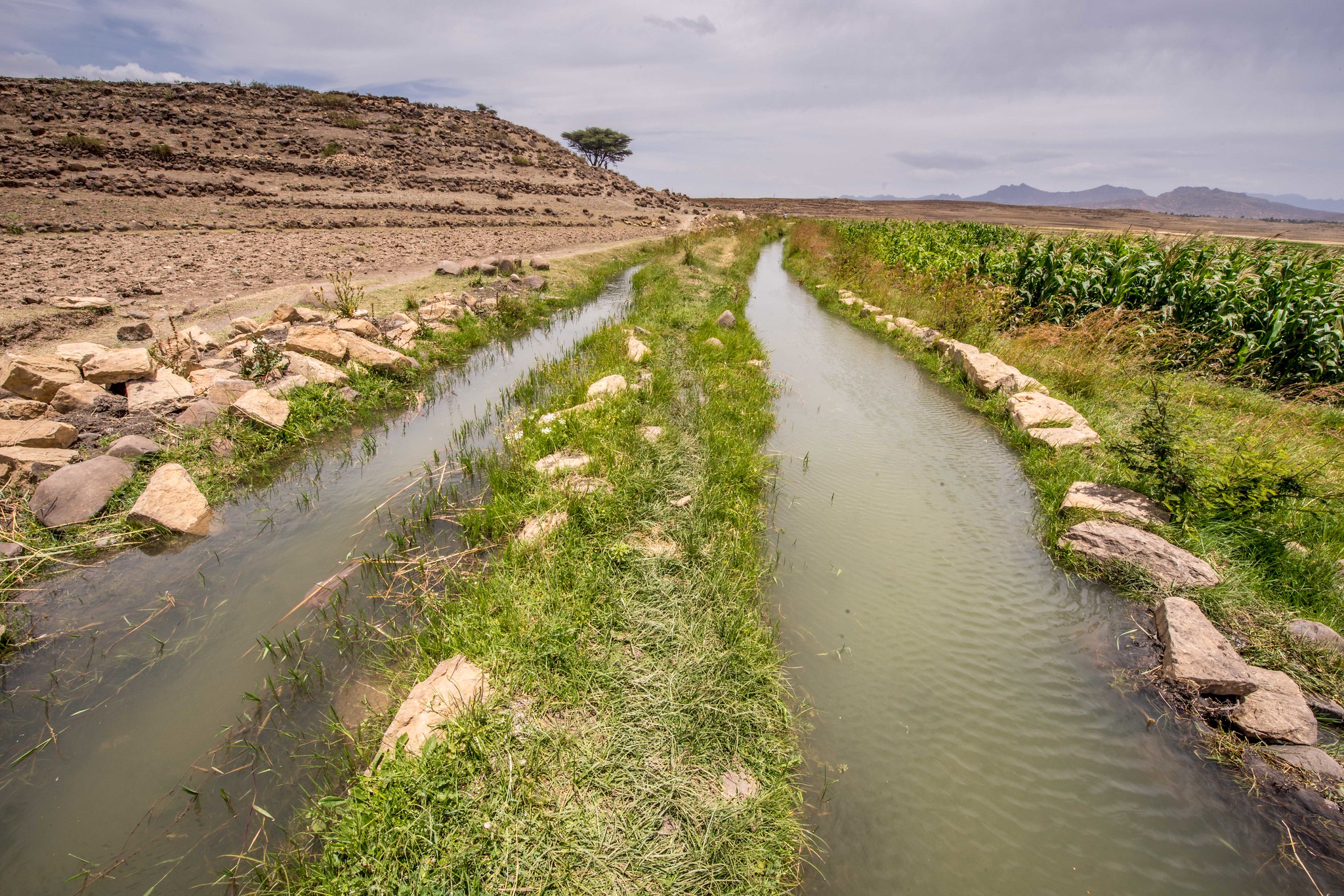 A method of field irrigation in the dry Tigray region
