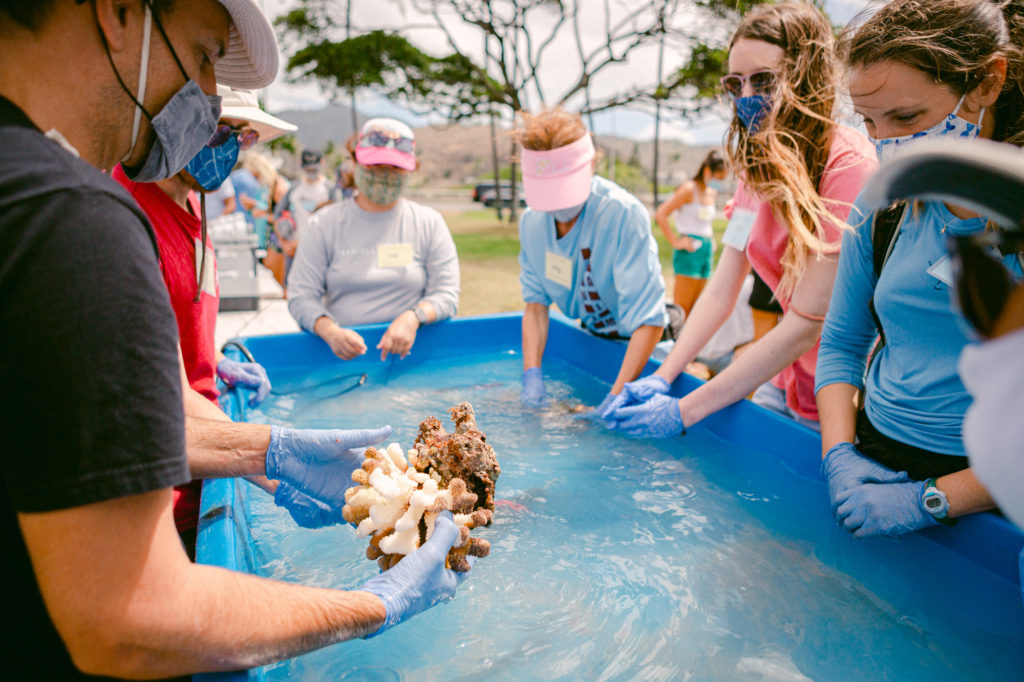 Restore with Resilience volunteer Lillie Flynn (pink shirt) helps prepare corals of opportunity at a Hana Pūko'a event.